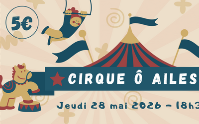 Image du projet Cirque Ô Ailes