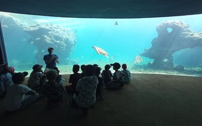 Image du projet BAT Karé en classe de mer St François PK7