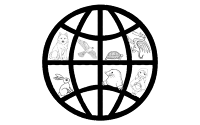 Image du projet Des contes au théâtre à l'école Jean-Jaurès de Verneuil sur Seine