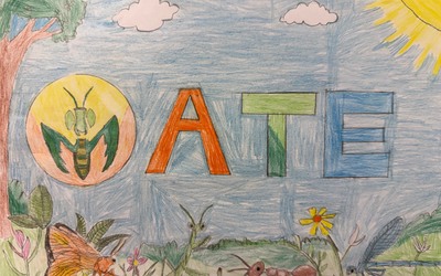 Image du projet Une aire terrestre éducative gérée par une classe de 6eme du collège Claude Monet à Ezy sur Eure