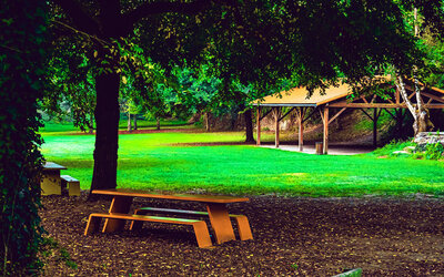 Image du projet Aire éducative terrestre au Loroux Bottereau