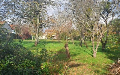 Image du projet ATE au jardin de l'école St Joseph, La Chapelle-Heulin