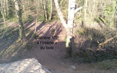 Image du projet Aire terrestre éducative des Essarts