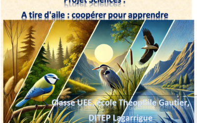 Image du projet Aire fluviale éducative : Les berges de l'Adour, un espace d'observation et d'inclusion