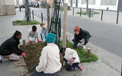 Image du projet ATE - Cultivons la biodiversité à côté du Périph.