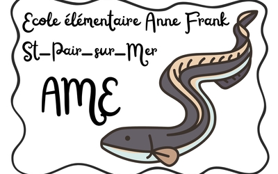 Image du projet AME Où la rivière devient-elle la mer?