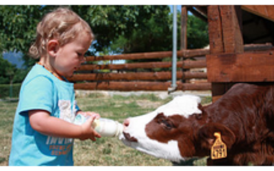 Image du projet Rencontre avec les animaux de La Ferme