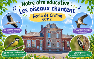 Image du projet les oiseaux chantent à Crillon