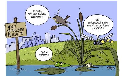 Image du projet Une Aire Terrestre Educative pour l'école du Grand-Pressigny