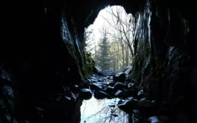 Image du projet  Direction les Vosges pour les CM de Jean Macé élémentaire