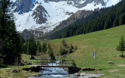 Image du projet 75 élèves à la découverte des glaciers alpins