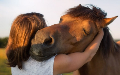 Image du projet A poney ! 