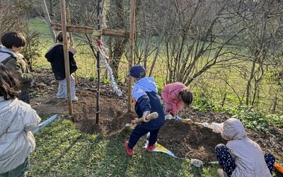 Image du projet Plantations d'arbres à Monfort