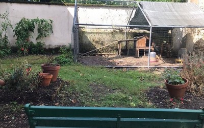 Image du projet Création d'un espace sensoriel dans le jardin de l'école