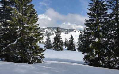 Image du projet Les CE2 de Brossolette dans le Jura
