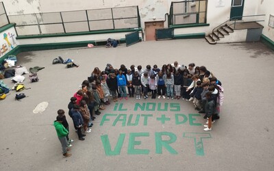 Image du projet Les petits citadins de l'école Lamartine au vert à la montagne ! 