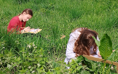 Image du projet ATE de l'ULIS du Collège Dunant