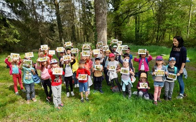 Image du projet ATE Ecole primaire publique les Trois Pierre - Comprendre et protéger la nature