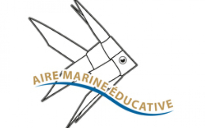 Image du projet Financement Aire Marine Educative - Questélan Riec Sur Bélon 29