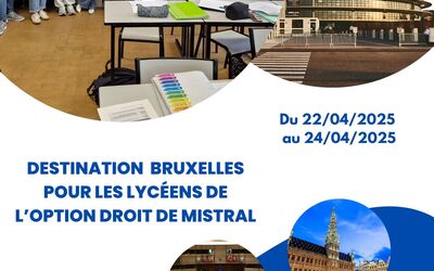 Image du projet Direction  Bruxelles pour les élèves du lycée  Mistral.