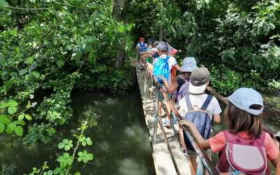 Image du projet Classe verte dans le Marais poitevin