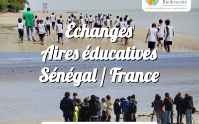 Image du projet Echanges Aire Educative Sénégal/France