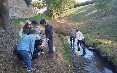 Image du projet Aire Terrestre Educative de Champdieu