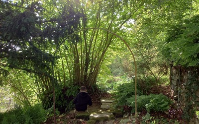 Image du projet ATE - Préservons la biodiversité sur les bords de la Rance