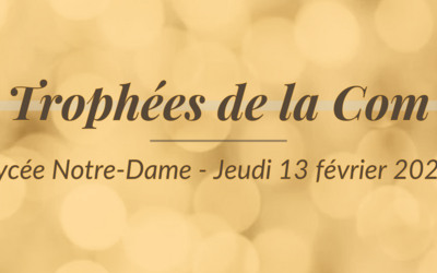 Image du projet LES TROPHEES DE LA COM