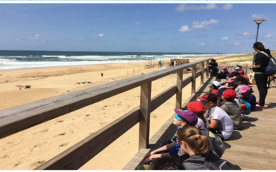 Image du projet Classe découverte Biarnès à Seignosse : Protéger l'océan