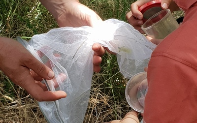 Image du projet Une Aire Terrestre Educative gérée par l'école de Mandagout