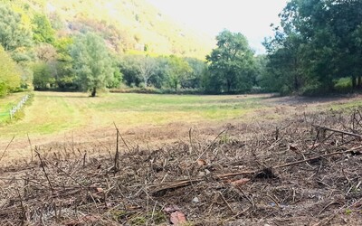 Image du projet ATE école de Prévinquières - Restauration d'une zone humide
