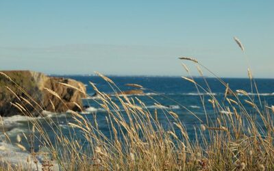 Image du projet Classe de mer à Piriac