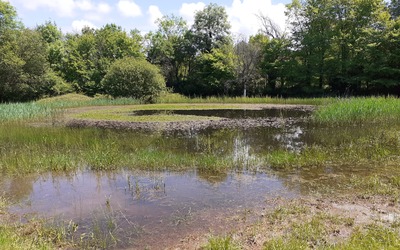 Image du projet UNE AIRE ÉDUCATIVE SUR LE LARZAC MERIDIONAL !