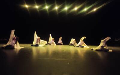 Image du projet Les troisièmes de Notre Dame font leur spectacle à Coppelia! 