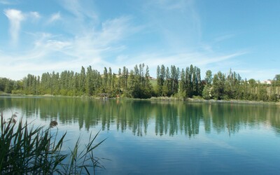 Image du projet  A.T.E. de l'école Messidor au plan d'eau des Blaches