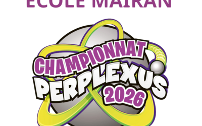 Image du projet De Béziers à Paris : aidons un élève de CM2 à atteindre la finale nationale du championnat Perplexus