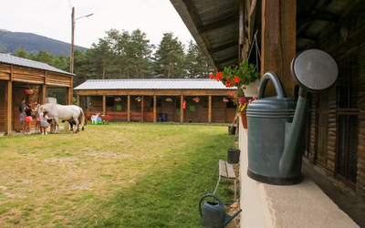 Image du projet Des CP de REP+ Apprentis fermiers