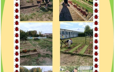 Image du projet A Hulluch, les CM1 CM2 de l'école Cousteau aménagent un  jardin d'agrément.