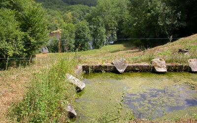 Image du projet Gestion d'une Aire Terrestre Educative à Saint-Priest-sous-Aixe 