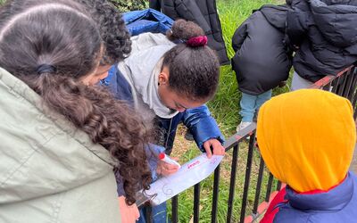 Image du projet ATE / Ecole Boissière MONTREUIL - Une aire éducative pour la biodiversité 