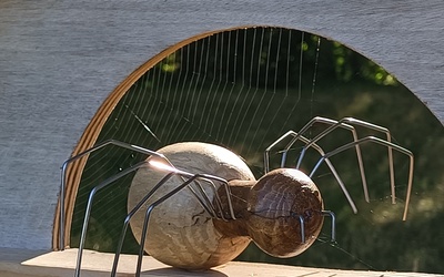 Image du projet ATE Aire éducative et découverte des araignées.