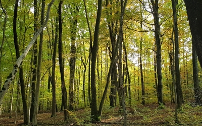 Image du projet ATE Eugène WACKER