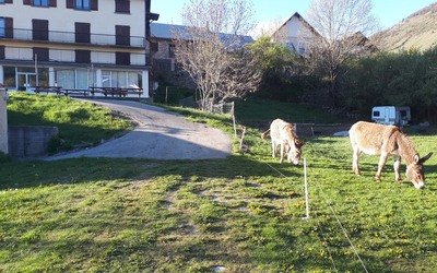 Image du projet Un séjour à Ancelle à quatre classes