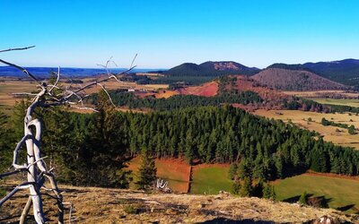 Image du projet Les CP/CE/CM de Bienville, Montmacq et St-Pierre-Lès-Bitry en Auvergne