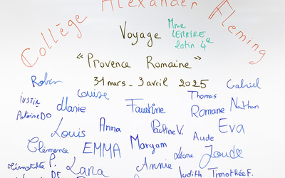 Image du projet Voyage "Provence romaine" (latinistes de 4e du collège Fleming) (Latin 4e)