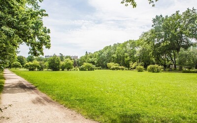 Image du projet ATE Lycée de l'observatoire
