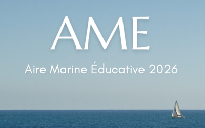 Image du projet AME Lycée ISM 2026