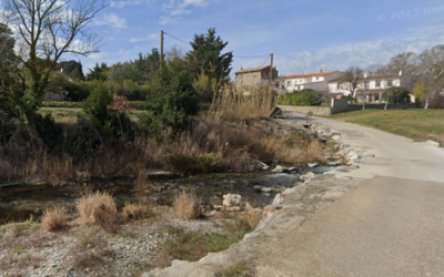 Image du projet La biodiversité de la Clamoux