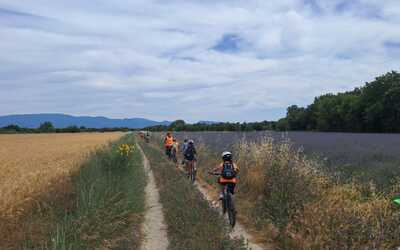 Image du projet Tour de l'Enclave des Papes à vélo